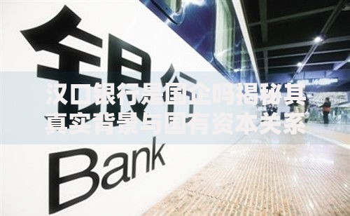 汉口银行是国企吗揭秘其真实背景与国有资本关系