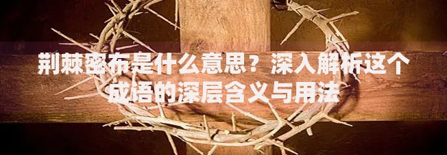 荆棘密布是什么意思？深入解析这个成语的深层含义与用法