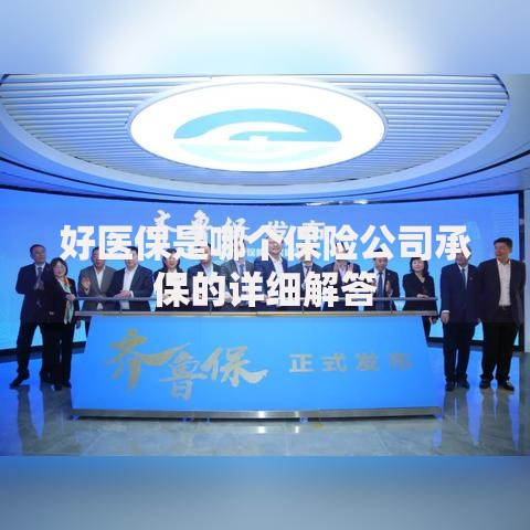 好医保是哪个保险公司承保的详细解答