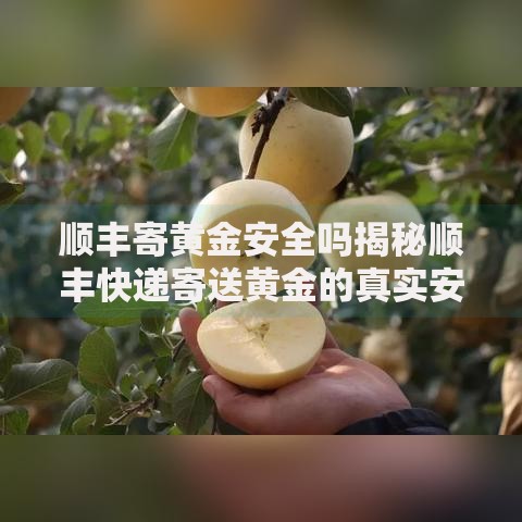 顺丰寄黄金安全吗揭秘顺丰快递寄送黄金的真实安全保障措施