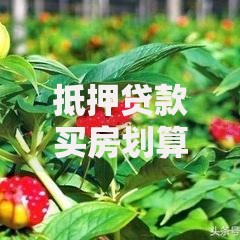 抵押贷款买房划算吗?利弊有哪些?别盲目入手!这几点你一定要搞清楚 抵押贷款买房划算吗?利弊有哪些?别盲目入手!这几点你一定要搞清楚