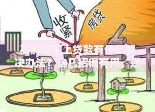 买房还不上贷款有什么解决办法?这几招很有用,还不上的赶紧来看 买房还不上贷款有什么解决办法?这几招很有用,还不上的赶紧来看