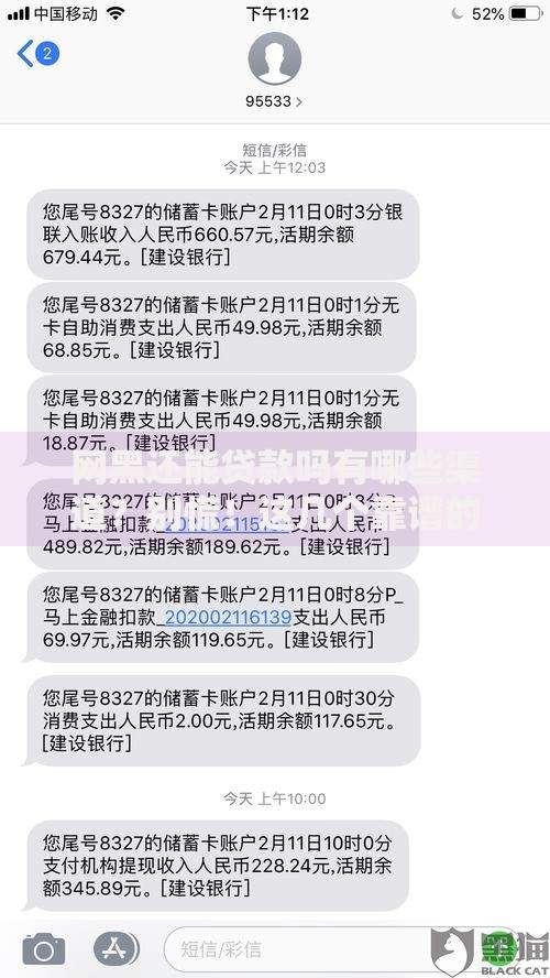 网黑还能贷款吗有哪些渠道？别慌！这几个靠谱的方法实测能行