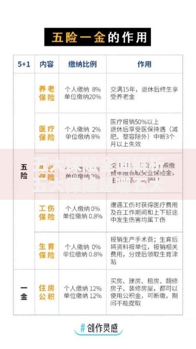 五大保险全面解析五大保险是哪五大保险及其详细内容