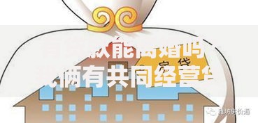 有贷款能离婚吗?我俩有共同经营贷没还完,离婚时该怎么分呀 有贷款能离婚吗?我俩有共同经营贷没还完,离婚时该怎么分呀