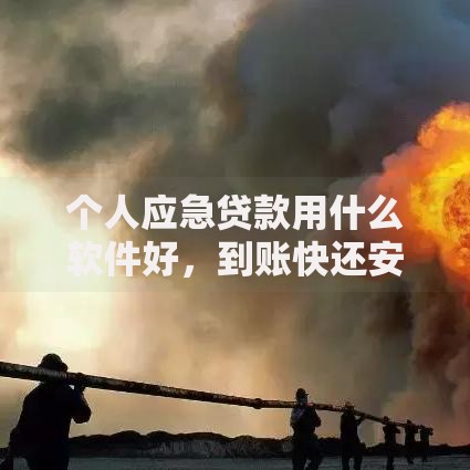 个人应急贷款用什么软件好，到账快还安全的那种