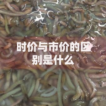 时价与市价的区别是什么