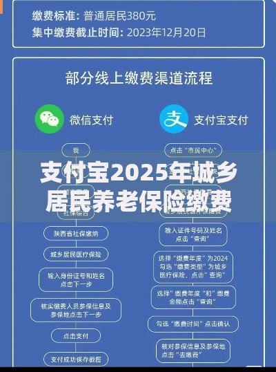 支付宝2025年城乡居民养老保险缴费流程详解
