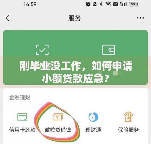 刚毕业没工作，如何申请小额贷款应急？
