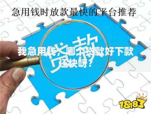 我急用钱,哪个贷款好下款还快呀? 我急用钱,哪个贷款好下款还快呀?