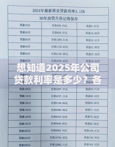 想知道2025年公司贷款利率是多少？各大银行利率对比全解析，看这里一目了然