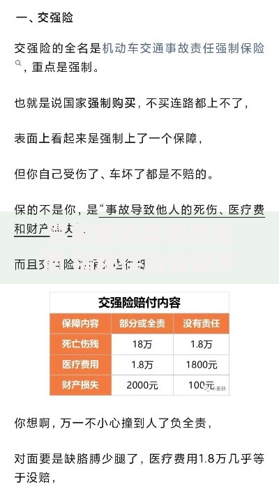 驾意险购买避坑指南 揭秘保险公司不会告诉你的5大套路