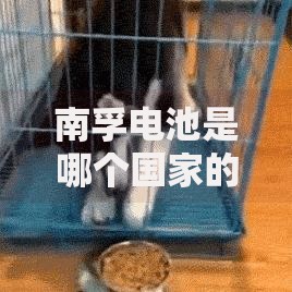 南孚电池是哪个国家的品牌揭秘中国电池巨头南孚的发展历程