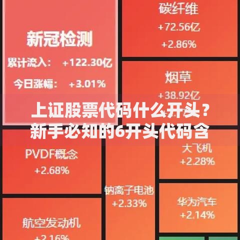 上证股票代码什么开头？新手必知的6开头代码含义解析