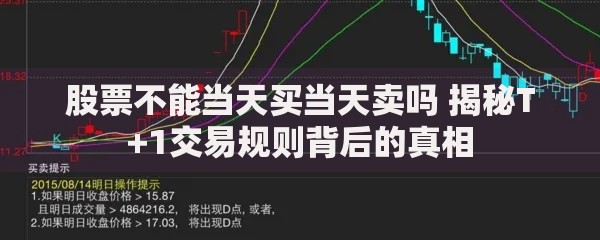 股票不能当天买当天卖吗 揭秘T+1交易规则背后的真相