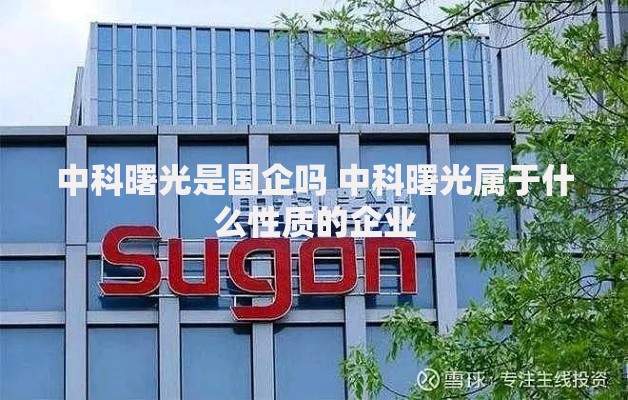 中科曙光是国企吗 中科曙光属于什么性质的企业