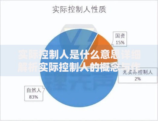 实际控制人是什么意思详细解析实际控制人的概念与作用