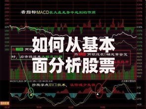如何从基本面分析股票价值：初学者必备的5个关键指标解析