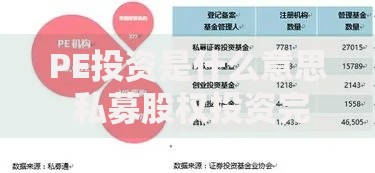 PE投资是什么意思 私募股权投资完整解析