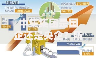 中集集团是国企还是央企？所有权性质详细解析