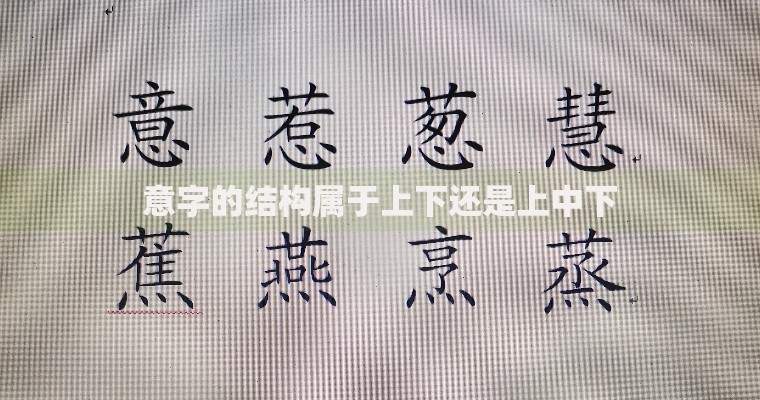 意字的结构属于上下还是上中下