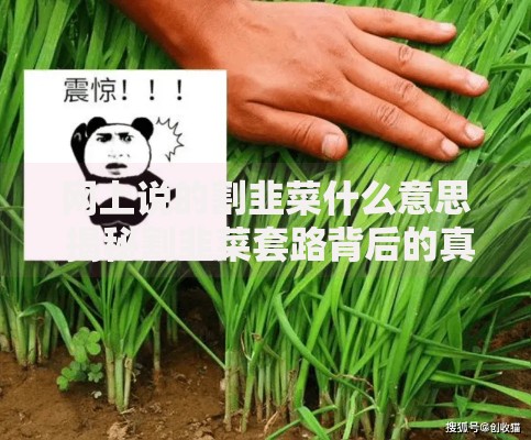 网上说的割韭菜什么意思 揭秘割韭菜套路背后的真相