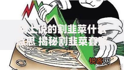 网上说的割韭菜什么意思 揭秘割韭菜套路背后的真相