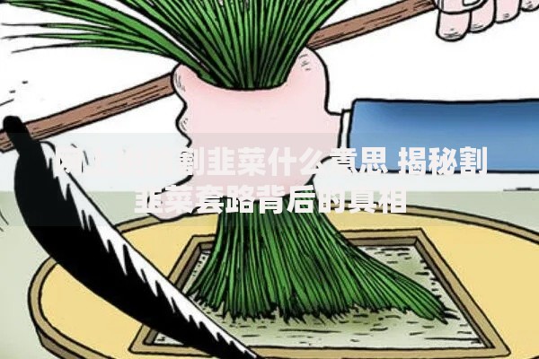 网上说的割韭菜什么意思 揭秘割韭菜套路背后的真相