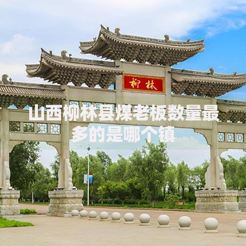 山西柳林县煤老板数量最多的是哪个镇
