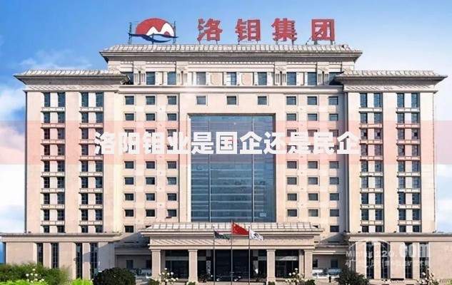 洛阳钼业是国企还是民企