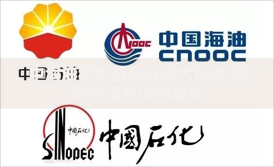 中海油和中石化油品大比拼 哪家更适合你的爱车