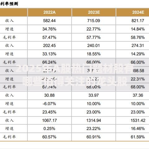 2025年A股热门题材股有哪些值得关注的龙头股