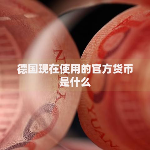 德国现在使用的官方货币是什么
