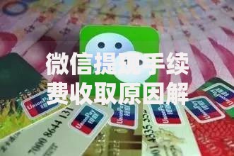 微信提现手续费收取原因解析