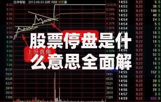 股票停盘是什么意思全面解析停盘原因时间影响及应对方法