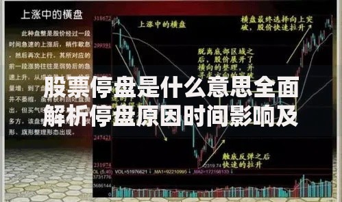 股票停盘是什么意思全面解析停盘原因时间影响及应对方法