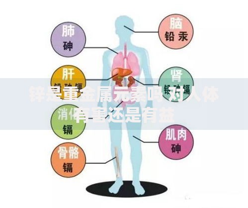 锌是重金属元素吗 对人体有害还是有益