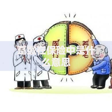 趸缴在保险中是什么意思