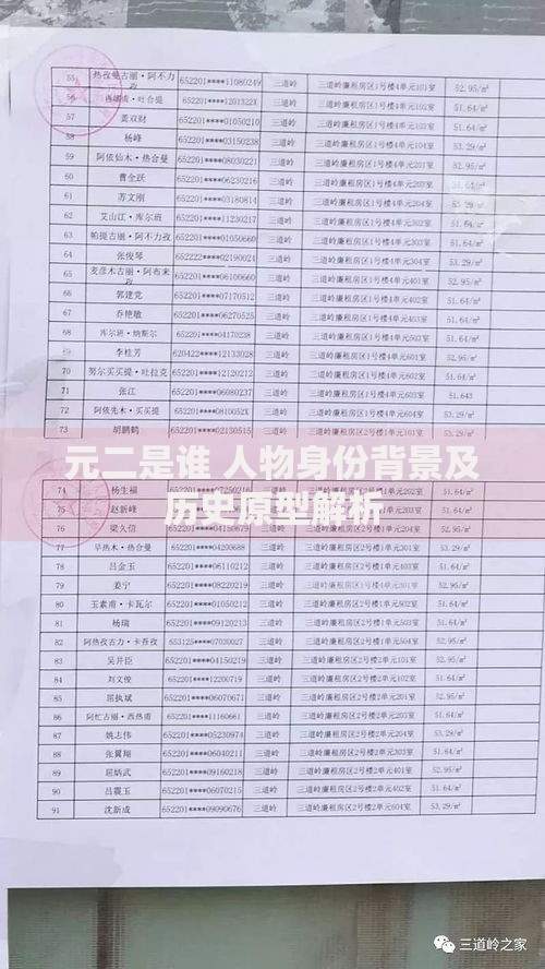 元二是谁 人物身份背景及历史原型解析