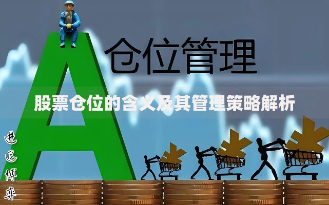 股票仓位的含义及其管理策略解析