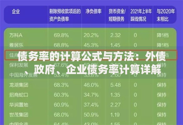 债务率的计算公式与方法：外债、政府、企业债务率计算详解