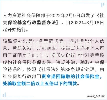 社保挂靠代缴违法吗会面临什么处罚