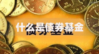 什么是债券基金