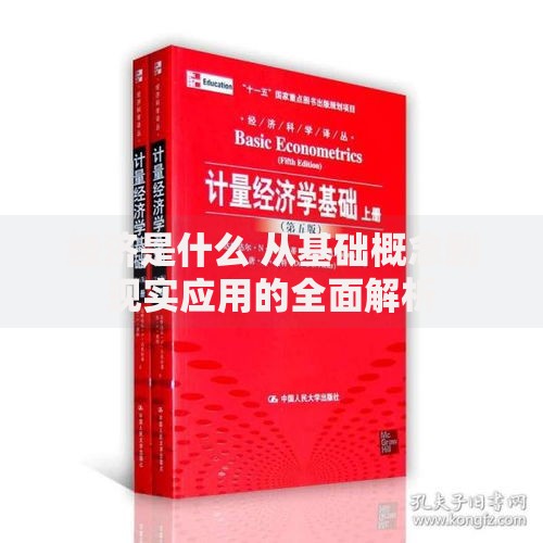 经济是什么 从基础概念到现实应用的全面解析
