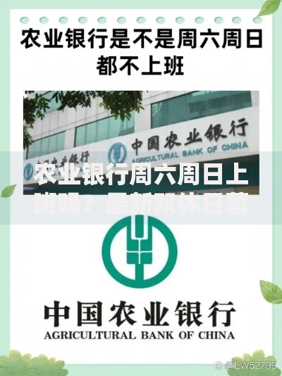 农业银行周六周日上班吗？最新双休日营业时间全攻略