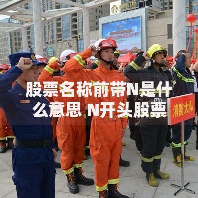 股票名称前带N是什么意思 N开头股票的投资特点与风险解析