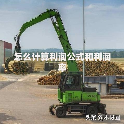 怎么计算利润公式和利润率