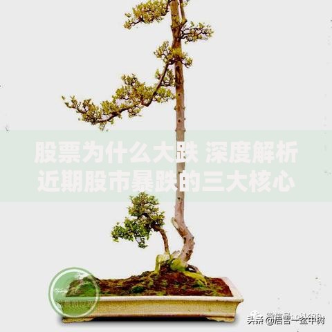 股票为什么大跌 深度解析近期股市暴跌的三大核心原因