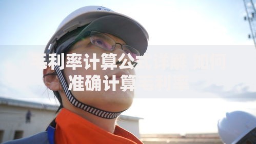 毛利率计算公式详解 如何准确计算毛利率