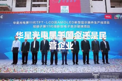 华星光电属于国企还是民营企业